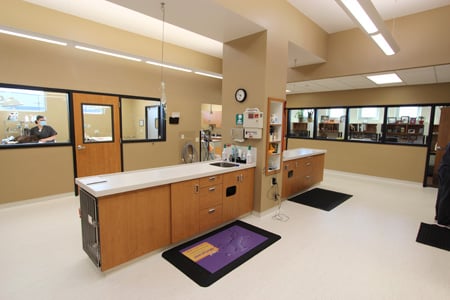 Designing Patient-Centric Healthcare Spaces